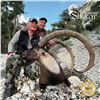 Image 4 : 7-DAY ANATOLIAN IBEX HUNT IN TURKEY FOR 1 HUNTER (Trophy fee included for up to 106 cm (Bronze medal