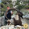 Image 5 : 7-DAY ANATOLIAN IBEX HUNT IN TURKEY FOR 1 HUNTER (Trophy fee included for up to 106 cm (Bronze medal