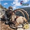 Image 6 : 7-DAY ANATOLIAN IBEX HUNT IN TURKEY FOR 1 HUNTER (Trophy fee included for up to 106 cm (Bronze medal