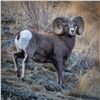 BRITISH COLUMBIA MOUNTAIN SHEEP SPECIAL HUNTING PERMIT
