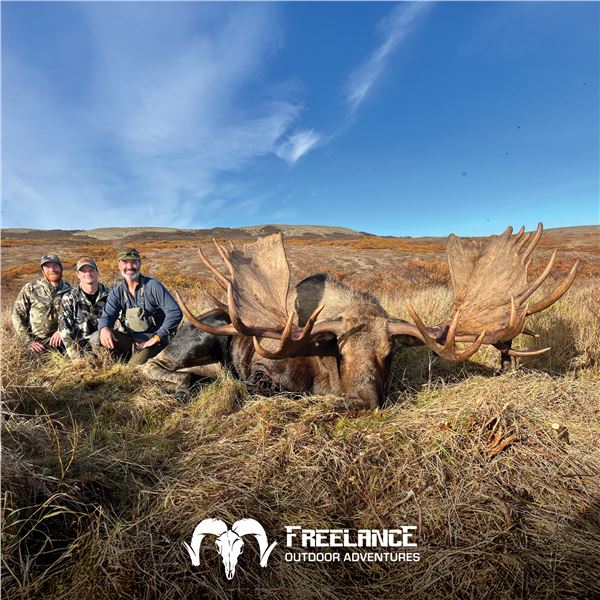 10-DAY ALASKA-YUKON MOOSE HUNT FOR 1 HUNTER IN NORTHWEST ALASKA