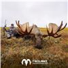 Image 2 : 10-DAY ALASKA-YUKON MOOSE HUNT FOR 1 HUNTER IN NORTHWEST ALASKA