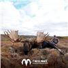 Image 4 : 10-DAY ALASKA-YUKON MOOSE HUNT FOR 1 HUNTER IN NORTHWEST ALASKA