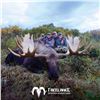 Image 8 : 10-DAY ALASKA-YUKON MOOSE HUNT FOR 1 HUNTER IN NORTHWEST ALASKA