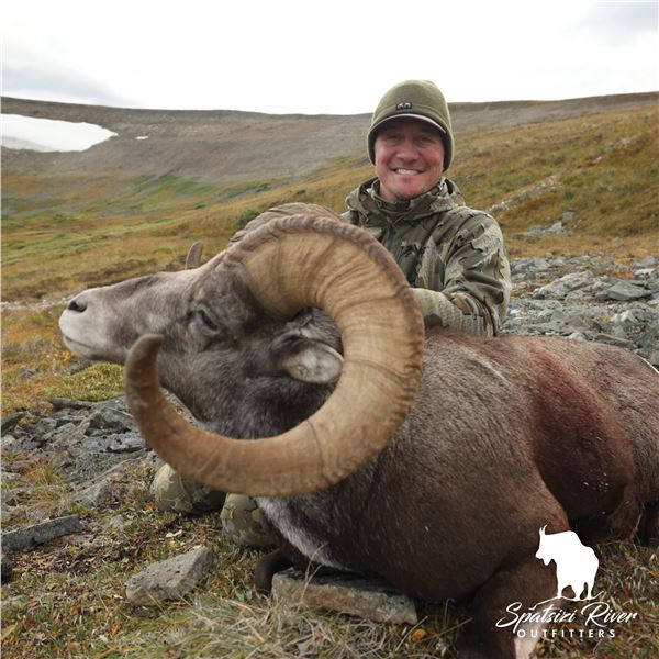 12-DAY STONES’ SHEEP HUNT IN NORTHERN BRITISH COLUMBIA