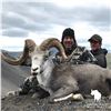 Image 3 : 12-DAY STONES’ SHEEP HUNT IN NORTHERN BRITISH COLUMBIA