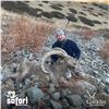Image 2 : 8-DAY MARAL STAG OR IBEX HUNT IN KAZAKHSTAN (Hunter’s choice, trophy fee for Maral stag or