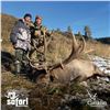Image 3 : 8-DAY MARAL STAG OR IBEX HUNT IN KAZAKHSTAN (Hunter’s choice, trophy fee for Maral stag or