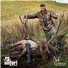 Image 5 : 8-DAY MARAL STAG OR IBEX HUNT IN KAZAKHSTAN (Hunter’s choice, trophy fee for Maral stag or