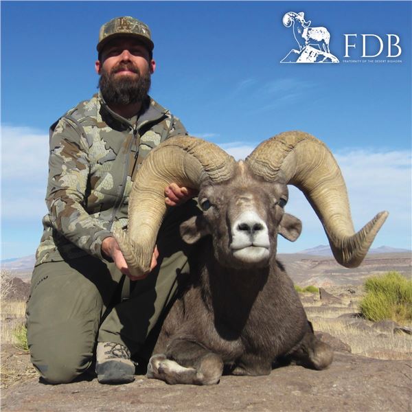 STATE OF NEVADA NELSON DESERT BIGHORN SHEEP TAG 2026