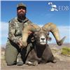 STATE OF NEVADA NELSON DESERT BIGHORN SHEEP TAG 2026