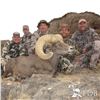 Image 2 : STATE OF NEVADA NELSON DESERT BIGHORN SHEEP TAG 2026
