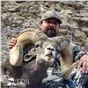 Image 5 : STATE OF NEVADA NELSON DESERT BIGHORN SHEEP TAG 2026