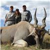 Image 7 : 7-DAY SOUTH AFRICAN SAFARI FOR 4 HUNTERS FOR 1 WHITE RHINO DART, 1 KUDU, 1 ROAN AND 1 ELAND HUNT