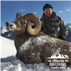 ALBERTA MINISTER’S SPECIAL LICENCE, ROCKY MOUNTAIN BIGHORN SHEEP