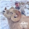 Image 2 : ALBERTA MINISTER’S SPECIAL LICENCE, ROCKY MOUNTAIN BIGHORN SHEEP