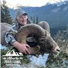 Image 3 : ALBERTA MINISTER’S SPECIAL LICENCE, ROCKY MOUNTAIN BIGHORN SHEEP