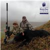 8-DAY BROWN/GRIZZLY AND 2 BLACK BEAR HUNT FOR 1 ADULT AND 1 YOUTH HUNTER