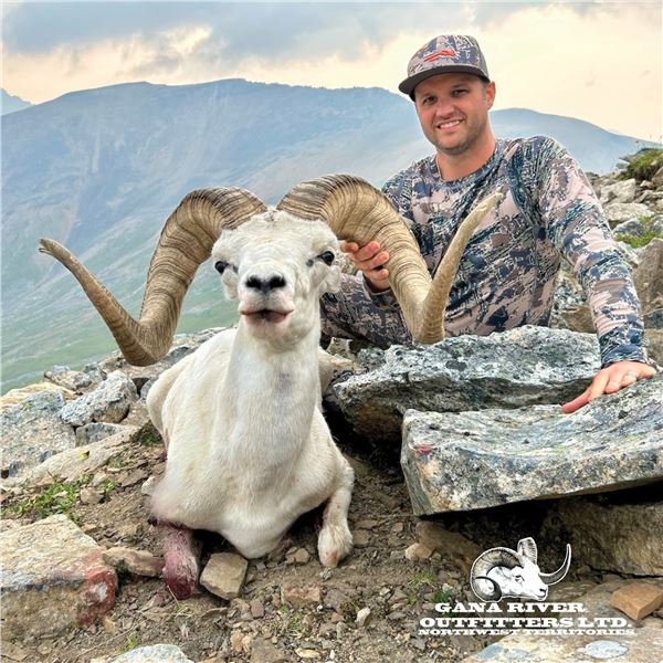 12 - DAY DALL’S SHEEP/WOLF/WOLVERINE HUNT IN THE NORTHWEST TERRITORIES FOR 1 HUNTER & amp;