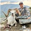 12 - DAY DALL’S SHEEP/WOLF/WOLVERINE HUNT IN THE NORTHWEST TERRITORIES FOR 1 HUNTER & amp;