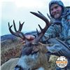 7-DAY SITKA BLACKTAIL DEER AND SEA DUCK HUNT FOR 4 HUNTERS ON KODIAK ISLAND