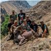 2026 OREGON BIGHORN SHEEP TAG