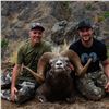 Image 3 : 2026 OREGON BIGHORN SHEEP TAG