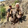 Image 5 : 2026 OREGON BIGHORN SHEEP TAG