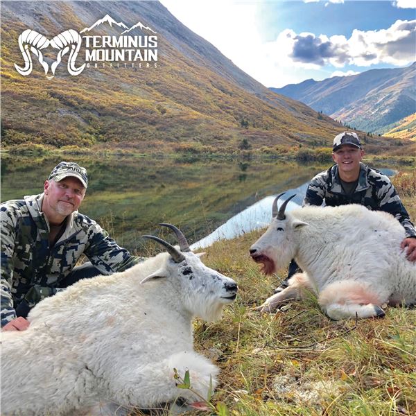 11-DAY TROPHY MOUNTAIN GOAT HUNT FOR 1 HUNTER IN REMOTE BRITISH COLUMBIA