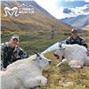 Image 1 : 11-DAY TROPHY MOUNTAIN GOAT HUNT FOR 1 HUNTER IN REMOTE BRITISH COLUMBIA
