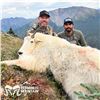 Image 3 : 11-DAY TROPHY MOUNTAIN GOAT HUNT FOR 1 HUNTER IN REMOTE BRITISH COLUMBIA