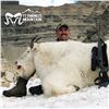 Image 5 : 11-DAY TROPHY MOUNTAIN GOAT HUNT FOR 1 HUNTER IN REMOTE BRITISH COLUMBIA
