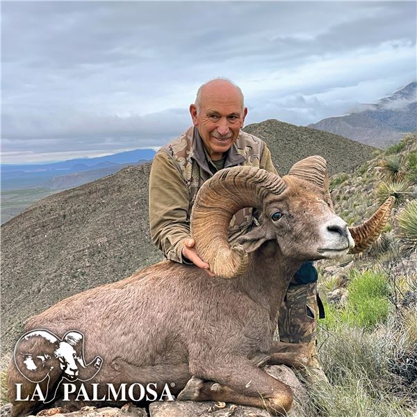 10-DAY LA PALMOSA DESERT SHEEP HUNT FOR 1 HUNTER AND 2 NON-HUNTERS