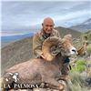 10-DAY LA PALMOSA DESERT SHEEP HUNT FOR 1 HUNTER AND 2 NON-HUNTERS