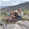 Image 2 : 10-DAY LA PALMOSA DESERT SHEEP HUNT FOR 1 HUNTER AND 2 NON-HUNTERS