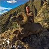 Image 3 : 10-DAY LA PALMOSA DESERT SHEEP HUNT FOR 1 HUNTER AND 2 NON-HUNTERS