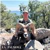 Image 6 : 10-DAY LA PALMOSA DESERT SHEEP HUNT FOR 1 HUNTER AND 2 NON-HUNTERS