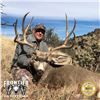 Image 2 : 5 - DAY MULE DEER HUNT IN NEW MEXICO FOR 1 HUNTER