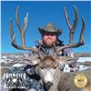 Image 3 : 5 - DAY MULE DEER HUNT IN NEW MEXICO FOR 1 HUNTER