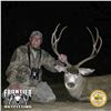 Image 5 : 5 - DAY MULE DEER HUNT IN NEW MEXICO FOR 1 HUNTER