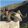 Image 1 : KLUANE FIRST NATION DALL’S SHEEP