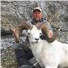 Image 4 : KLUANE FIRST NATION DALL’S SHEEP