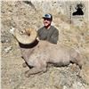 Image 2 : NEBRASKA GAME AND PARKS COMMISSION BIGHORN SHEEP PERMIT