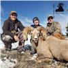 Image 3 : NEBRASKA GAME AND PARKS COMMISSION BIGHORN SHEEP PERMIT