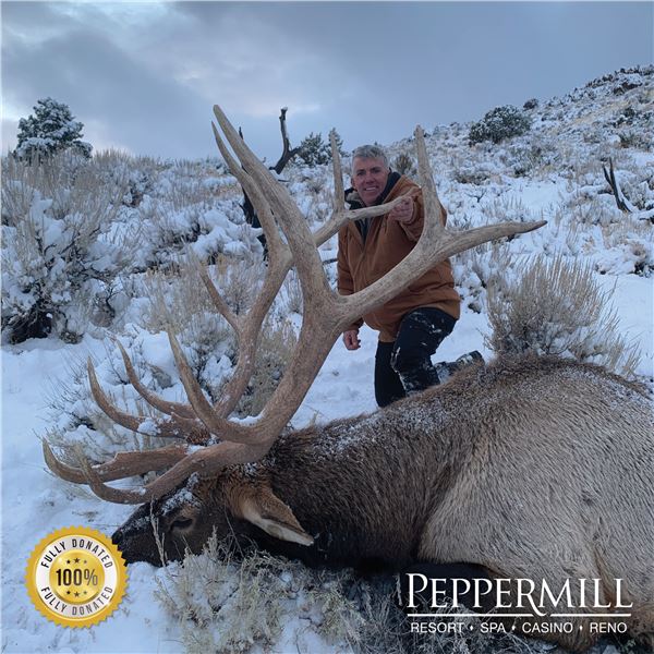 NEVADA UNIT 231 PRIVATE LANDOWNER ELK TAG FOR 1 HUNTER