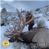 Image 1 : NEVADA UNIT 231 PRIVATE LANDOWNER ELK TAG FOR 1 HUNTER
