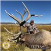 Image 2 : NEVADA UNIT 231 PRIVATE LANDOWNER ELK TAG FOR 1 HUNTER