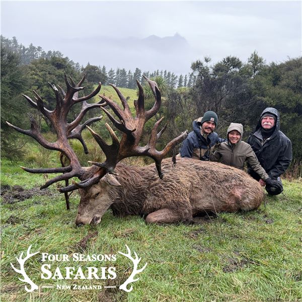 5-DAY RED STAG, TAHR AND CHAMOIS HUNT FOR 4 HUNTERS
