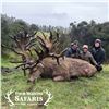 Image 1 : 5-DAY RED STAG, TAHR AND CHAMOIS HUNT FOR 4 HUNTERS