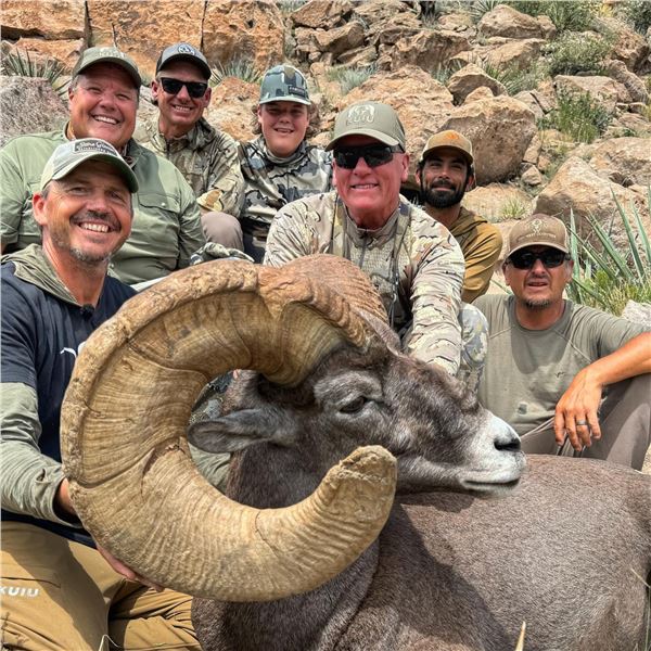 NEW MEXICO ROCKY MOUNTAIN BIGHORN SHEEP PERMIT